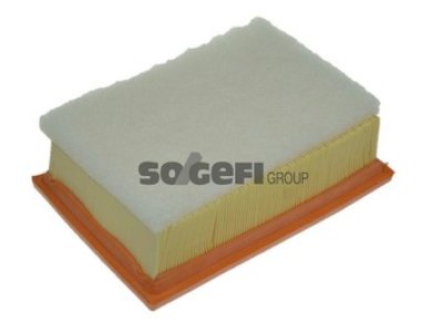 Filtr powietrza PURFLUX A1112 C25117