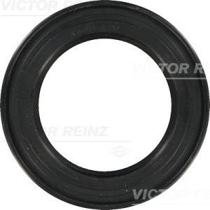 Simering 54x82x15 silnik REINZ 81-21343-00 614818