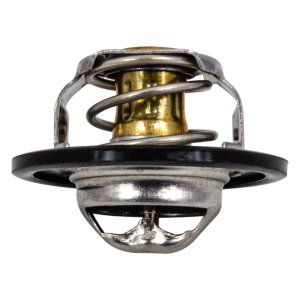 Termostat GATES TH23389G1 7700872554