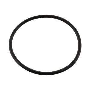 O-ring automatycznej skrzyni biegów FEBI BILSTEIN 08937 24311218570