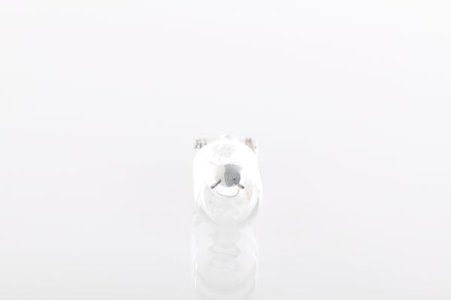 ŻARÓWKA W5W 12V BOSCH 1987302286 LONGLIFE DAYTIME