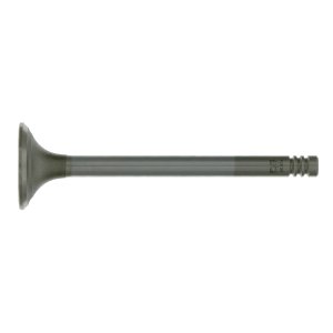 Zawór wydechowy FEBI BILSTEIN 19635 6172848