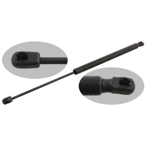 Sprężyna gazowa pokrywy bagażnika FEBI BILSTEIN 27893 8200119498