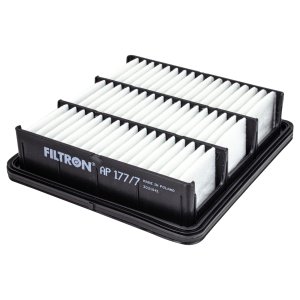 Filtr powietrza FILTRON AP177/7 C2029