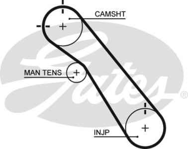 Pasek rozrządu GATES 5548XS 1356819195