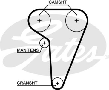 Pasek rozrządu GATES 5549XS 60604889