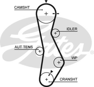 Pasek rozrządu GATES 5579XS 2431227000