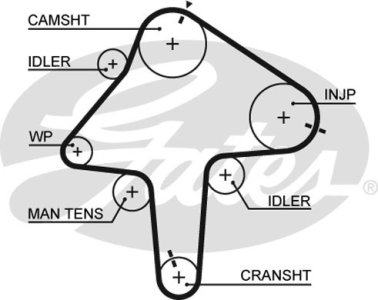 Pasek rozrządu GATES 5482XS RF1G12205