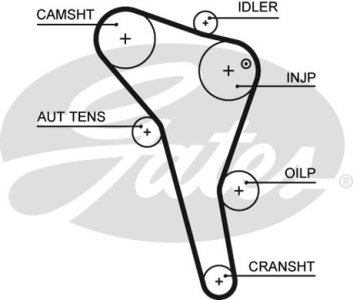 Pasek rozrządu GATES 5622XS 028109119AA