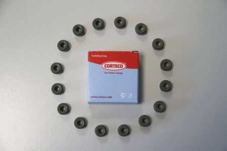 KPL.USZCZ.ZAWOROWYCH CLIO IV