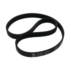 Pasek wielorowkowy SKF VKMV 6PK953 6PK955