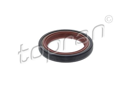 USZCZELNIACZ 36X50X7