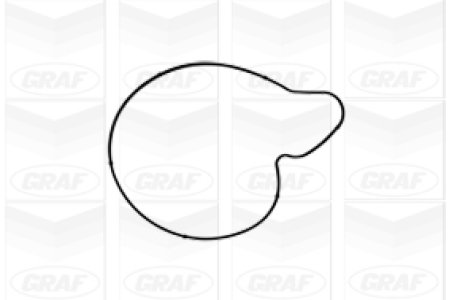 Pompa wody GRAF PA1050 06E121005G