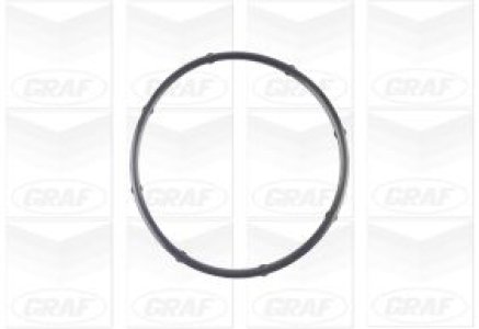 Pompa wody GRAF PA1125 2510003010