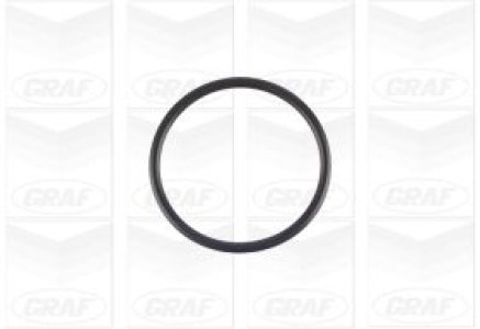 Pompa wody GRAF PA1154 1610019196