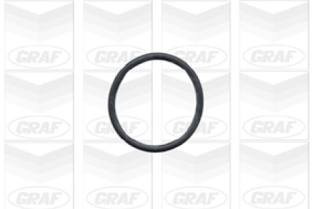 Pompa wody GRAF PA431 11511727123