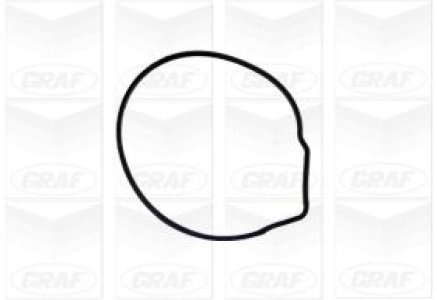 Pompa wody GRAF PA676 030121008C