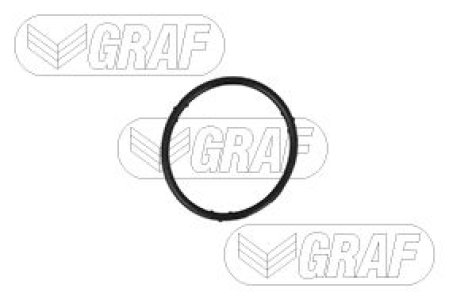 Pompa wody GRAF PA765 036121005F