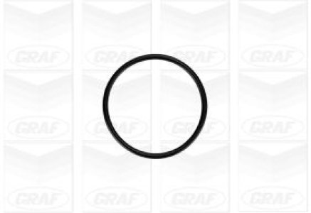 Pompa wody GRAF PA879 045121011F