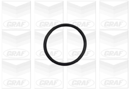 Pompa wody GRAF PA886 1201F6