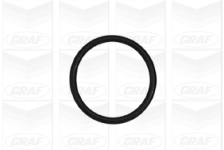 Pompa wody GRAF PA985 11517520123