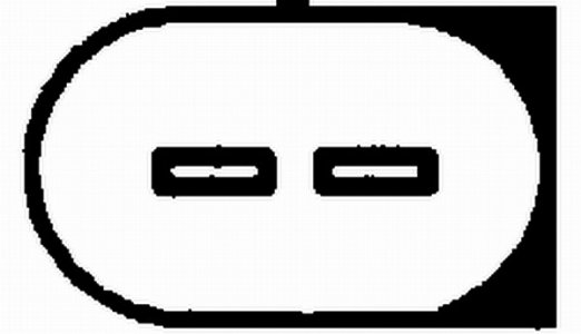 Czujnik spalania stukowego HELLA 6PG 009 108-561 030905377C