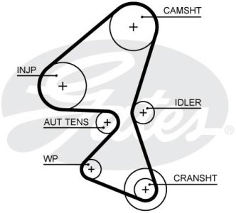 Pasek wielorowkowy GATES 5688XS 1872494 FORD