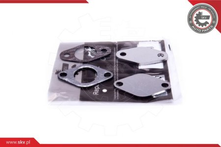 ZESTAW NAPRAWCZY ZAWORU EGR VW