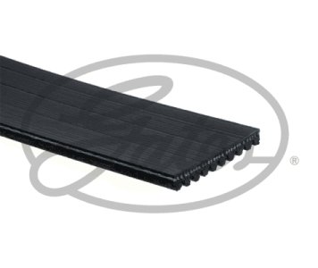 PASEK WIELOROWKOWY 10PK1359 WYCOFANE