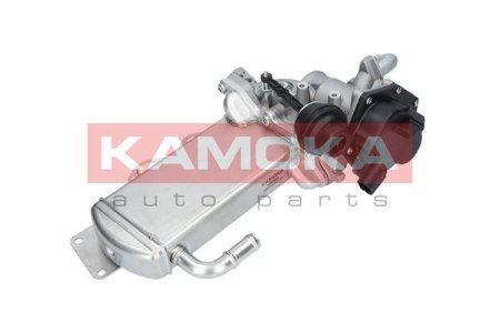 ZAWOR EGR KAMOKA 19068  VW TRANSPORTER T5, T6 08