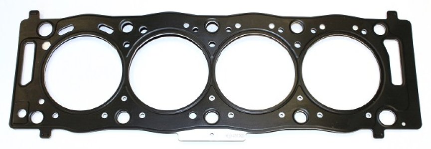 USZCZELKA GŁOWICY PSA