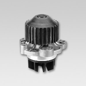 Pompa wody HEPU P802