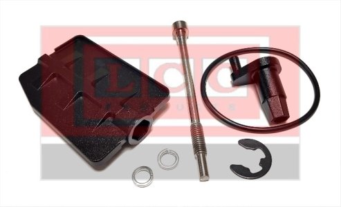 ZESTAW NAPRAWCZY ZAWORU DISA BMW 3 (E46) 5