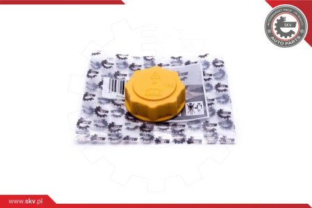 KOREK ZBIORNIKA WYRÓWNAWCZEGO FORD FIESTA VI FOCUS