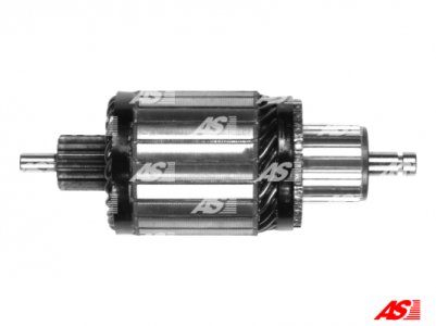 WIRNIK ROZRUSZNIKA AS-PL