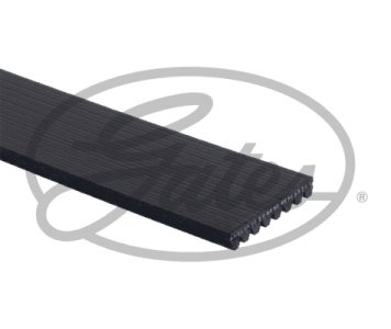 Pasek wielorowkowy GATES 8PK1460HD 8PK1460