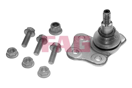 SWORZEŃ WAHACZA DACIA