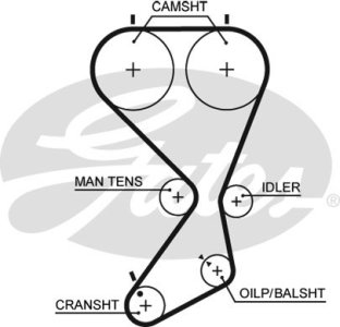 Zestaw paska rozrządu GATES K015556XS 