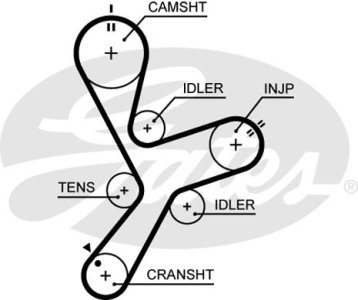 Pasek rozrządu GATES 5641XS 1145A019