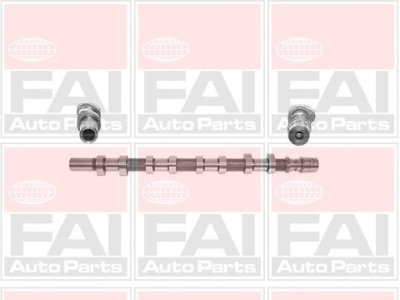 Wałek rozrządu FAI AutoParts C256 1300100QAD