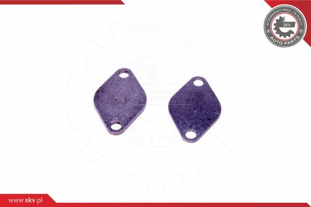 ZESTAW NAPRAWCZY ZAWORU EGR VW