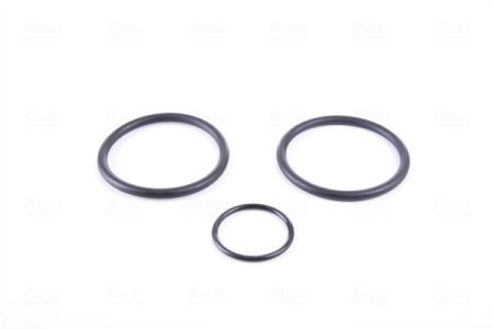 Chłodnica silnika NISSENS 67168 2045000403