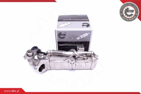 Chłodnica zaworu EGR ESEN SKV 14SKV228 11718517724 BMW