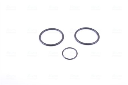 Chłodnica silnika NISSENS 67101 2045001403