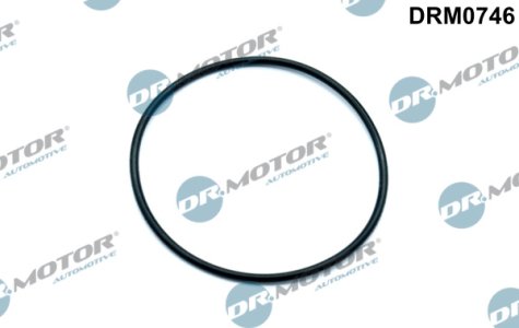 USZCZELKA VACUUM POMPY Dr.Motor Automotive DRM0746 06D145117 AUDI, VW 2.0TFSI 05