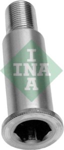 śruba (czop) napinacza koła pasowego INA 533006420 6062020120