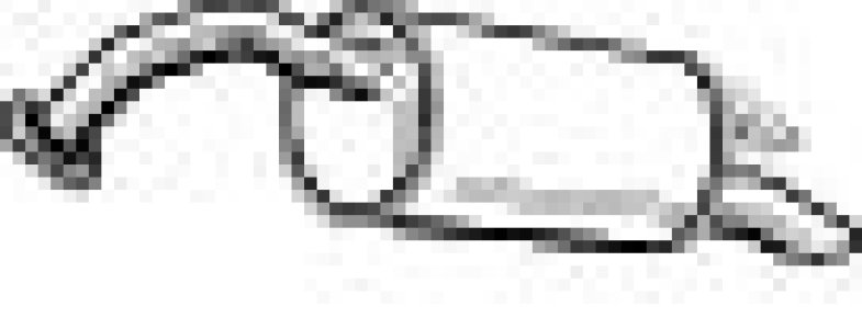 Tłumik końcowy WALKER 22167-52 174300J010