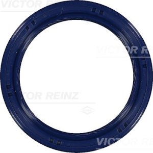 Uszczelniacz 41x53x6 REINZ 81-53699-00 928341001