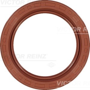 Uszczelniacz 44x60x10 REINZ 81-28498-00 11141435848