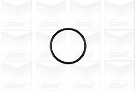 Pompa wody GRAF PA1047 1611019176